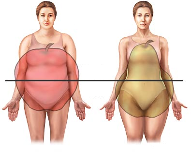 biztonságos testsúlycsökkenés elhízottak esetén)