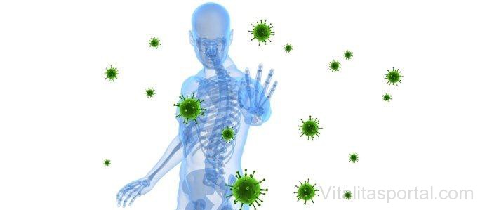 immunrendszer-vedelme