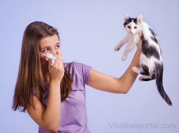 Az allergiában szenvedők gyakran semmiféle asztmás tünetet nem tapasztalnak.