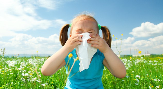 Ha az immunrendszere allergént észlel, gyors folyamat kezdődik, ami tüsszögéshez, orrduguláshoz vezet.