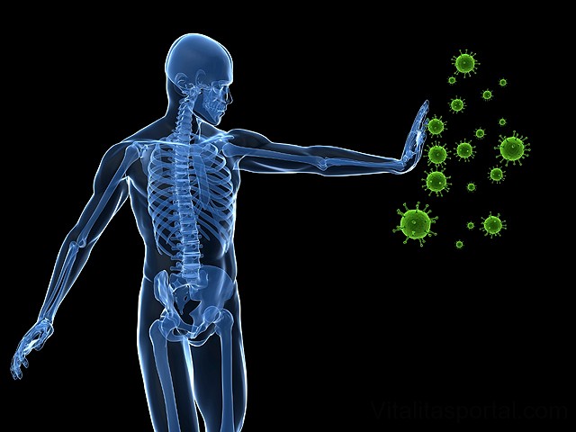 Az immunrendszer feladata hogy különbséget tegyen a saját és az idegen anyagok között.