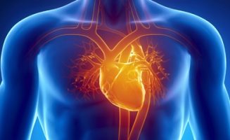 A szívbelhártya-gyulladás tünetei gyakran bizonytalanok és a szívfertőzés típusa és helye szerint változnak.